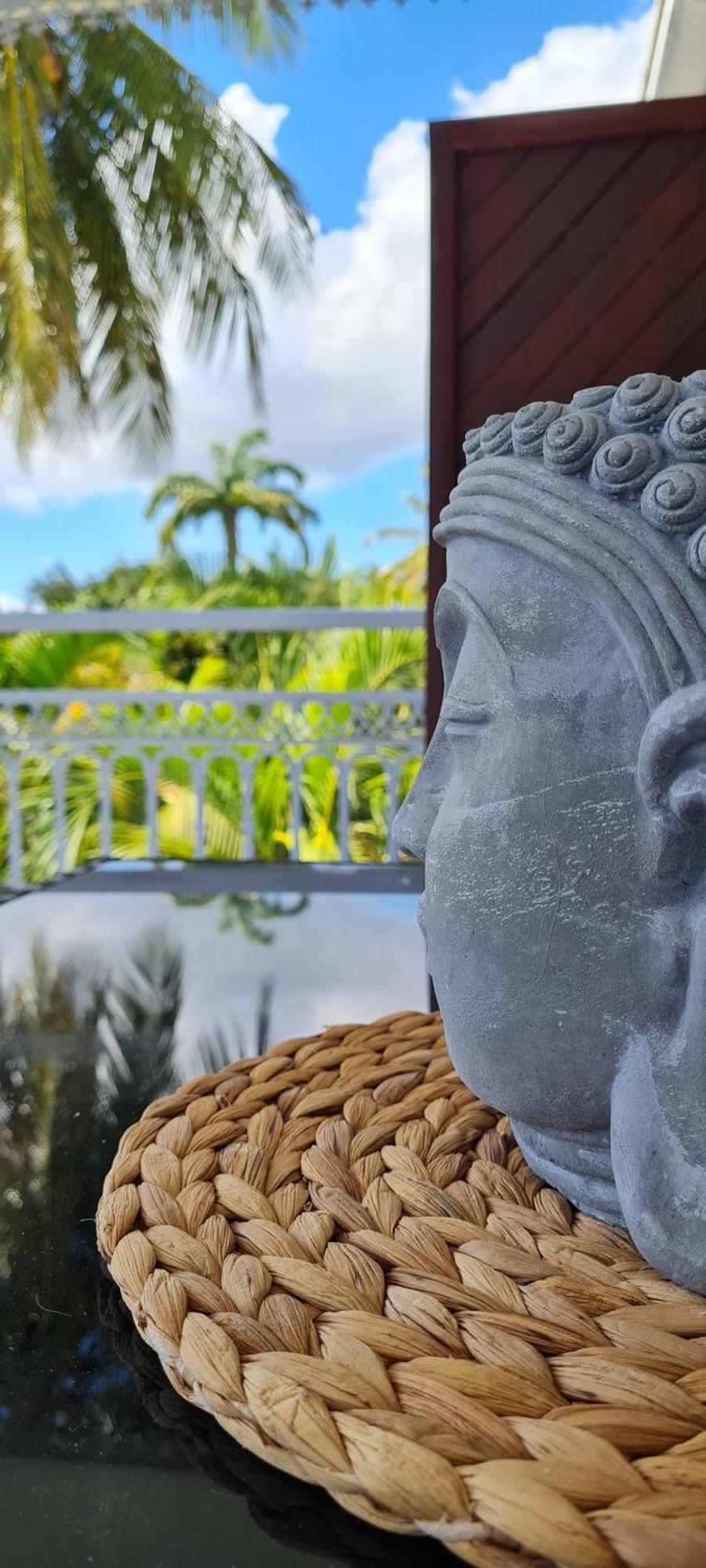 Grand Studio Zen Idealement Situe A Saint-Francois Avec Piscine Et Terrasse 객실 사진